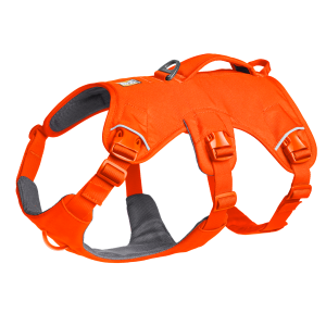 30104-850S2-var.png