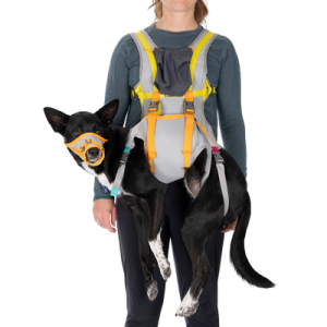 BackTrak™ Dog Evacuation Kit