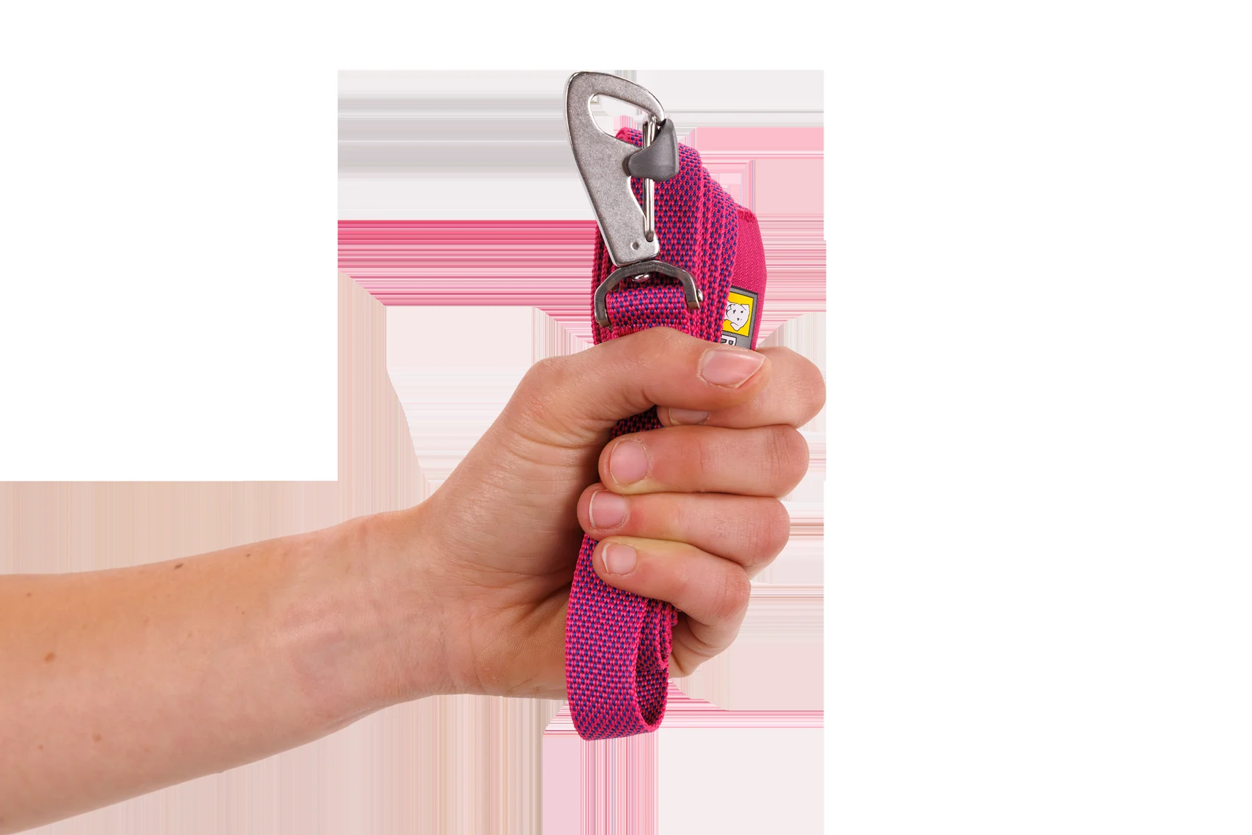 flagline-dog-leash-gallery-2.png