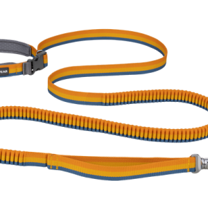 Roamer™ Bungee Dog Leash