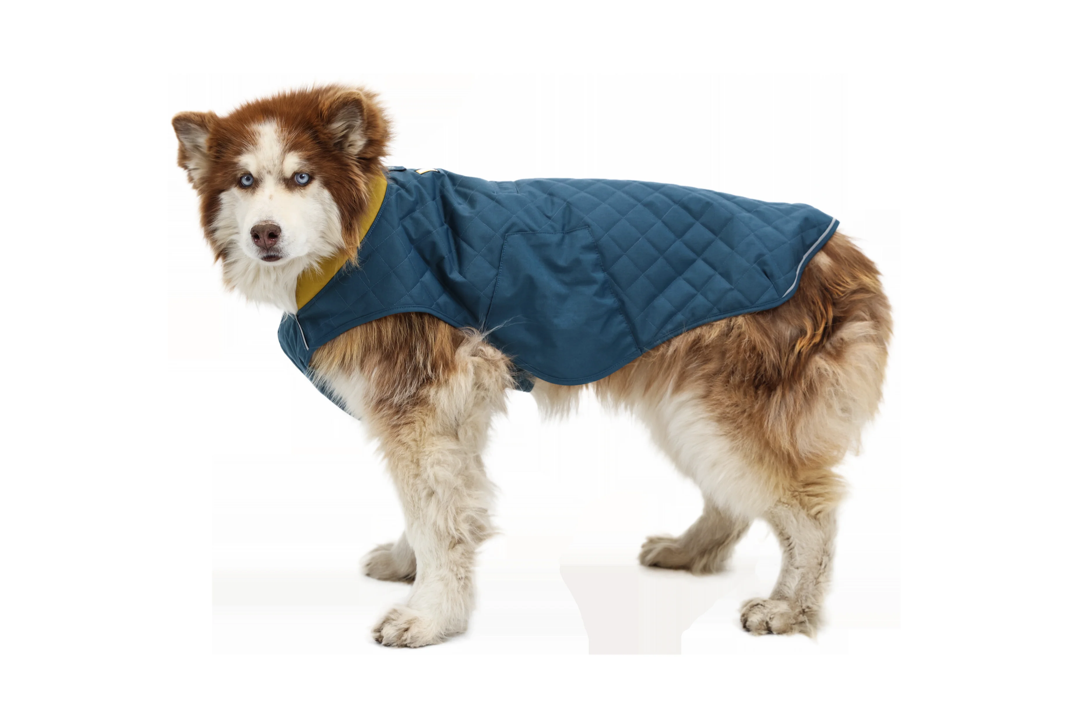 stumptown-jacket-gallery-9.png