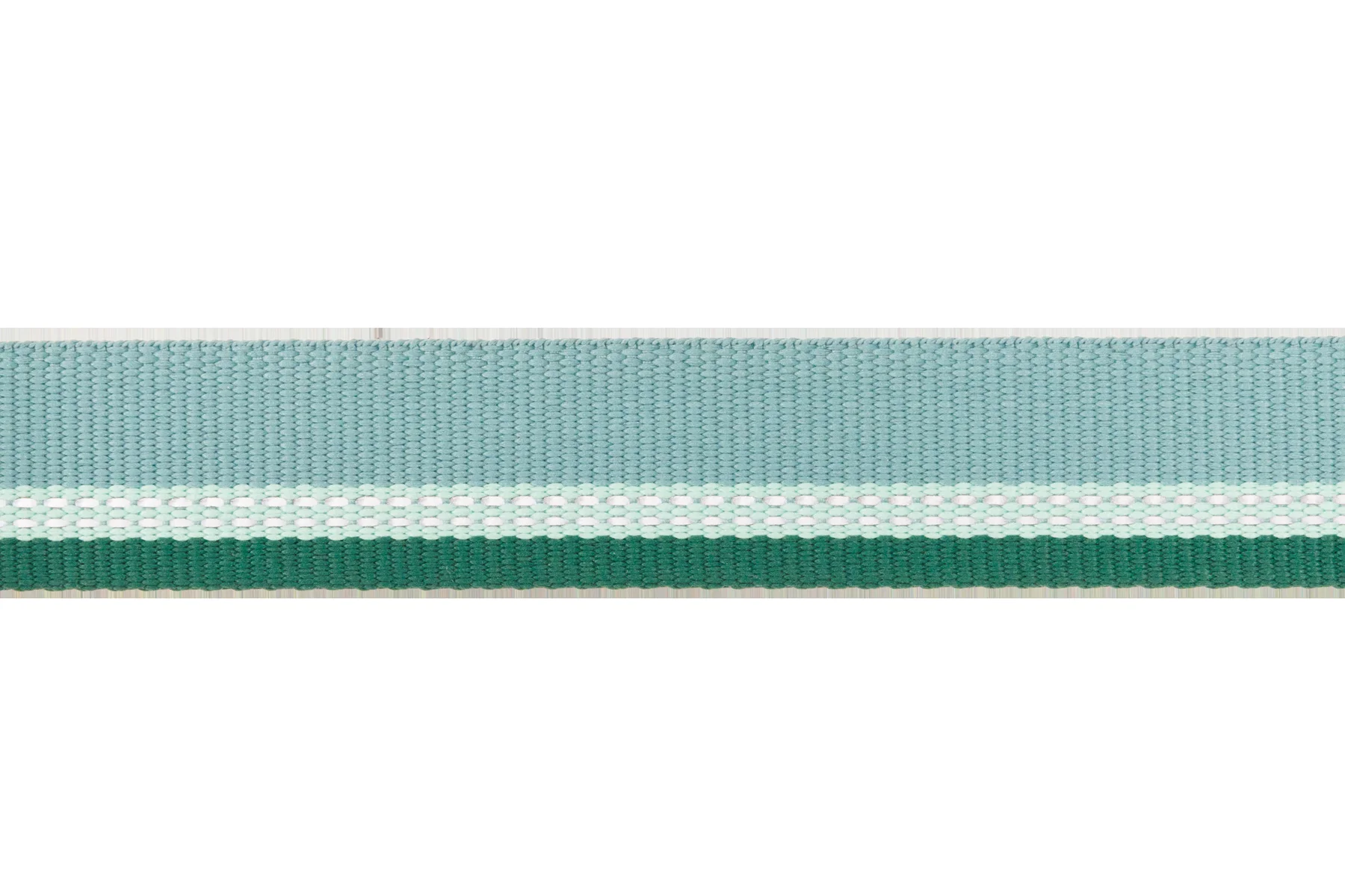 top-rope-dog-collar-gallery-9.png