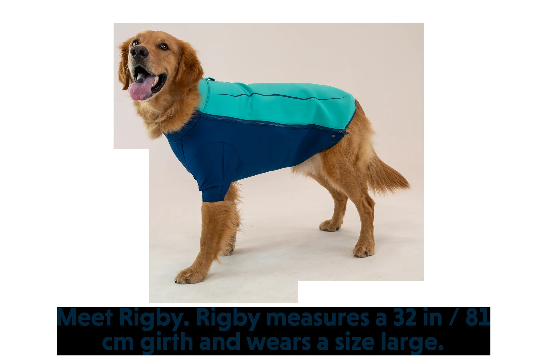undercoat-dog-water-jacket-gallery-1.png