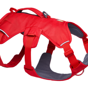 Web Master™ Dog Harness with Handle