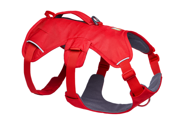 Web Master™ Dog Harness with Handle