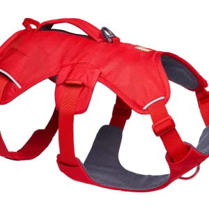 web-master-harness-gallery-1.png
