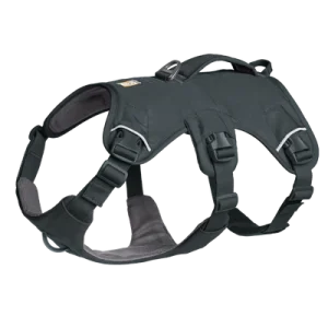 web-master-harness-gallery-2.png