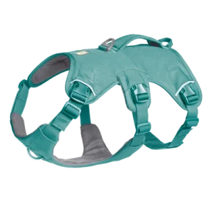 web-master-harness-gallery-3.png