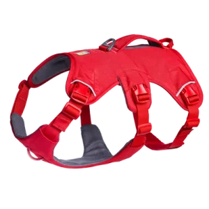 web-master-harness-gallery-4.png